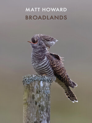 cover image of Broadlands